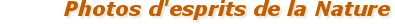 ____Photodesprit_________________________________ ____Photodesprit_________________________________